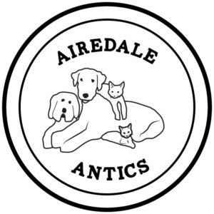 Airedale Antics Logo